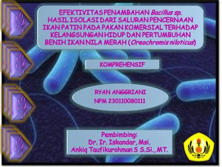 EFEKTIVITAS PENAMBAHAN Bacillus sp.