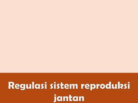 Regulasi sistem reproduksi jantan