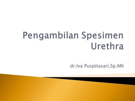 Dr.Iva Puspitasari,Sp.MK.  Bersihkan flora di sekitar lubang uretra luar  Kapas + Akuades  Terbaik  nanah yang keluar dari uretra; atau  hapusan.