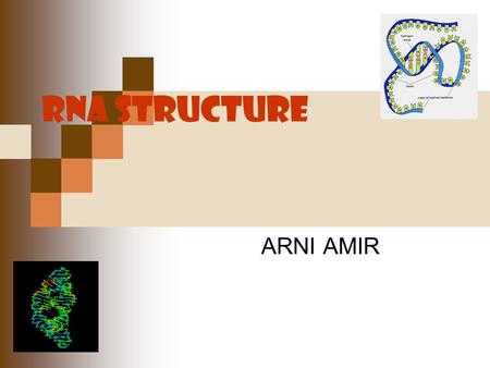 RNA STRUCTURE ARNI AMIR.