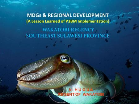 MDGs & REGIONAL DEVELOPMENT (A Lesson Learned of P3BM Implementation) WAKATOBI REGENCY SOUTHEAST SULAWESI PROVINCE Ir. H U G U A REGENT OF WAKATOBI.