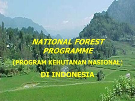 NATIONAL FOREST PROGRAMME