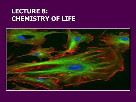 LECTURE 8: CHEMISTRY OF LIFE. Simple to Complex – Life’s Levels of Organization Our journey begins here.