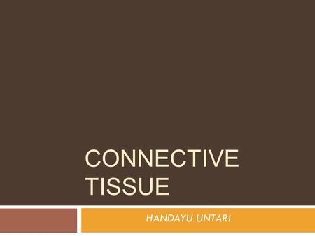 CONNECTIVE TISSUE HANDAYU UNTARI.