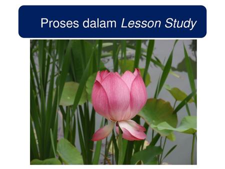 Proses dalam Lesson Study