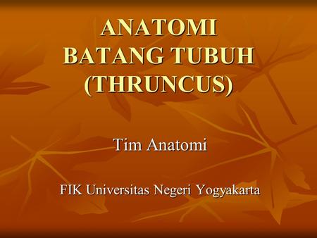 ANATOMI BATANG TUBUH (THRUNCUS)