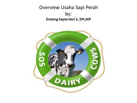 Overview Usaha Sapi Perah by: Endang Sapta Hari S, SPt,MP