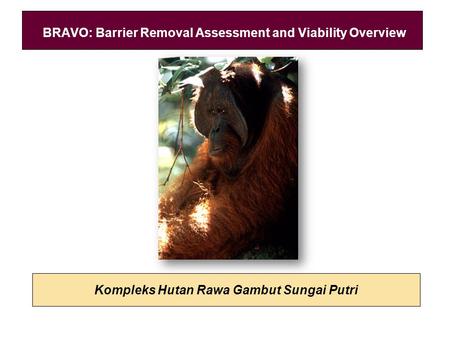 Kompleks Hutan Rawa Gambut Sungai Putri BRAVO: Barrier Removal Assessment and Viability Overview.