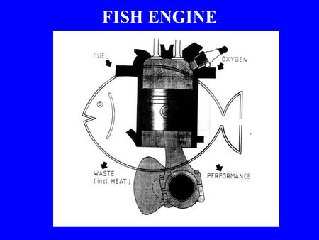 FISH ENGINE.