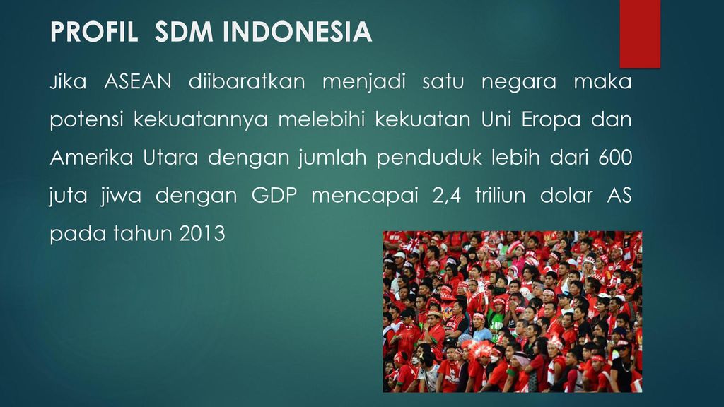 PROFIL SDM INDONESIA