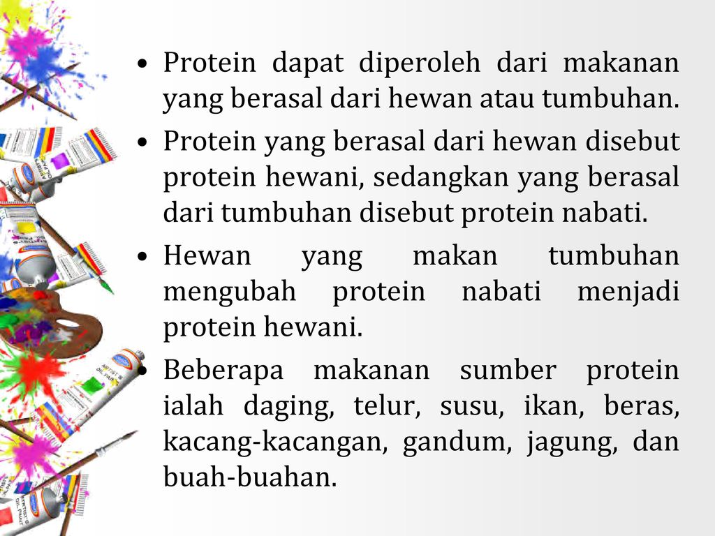 Protein dapat diperoleh dari makanan yang berasal dari hewan atau tumbuhan.