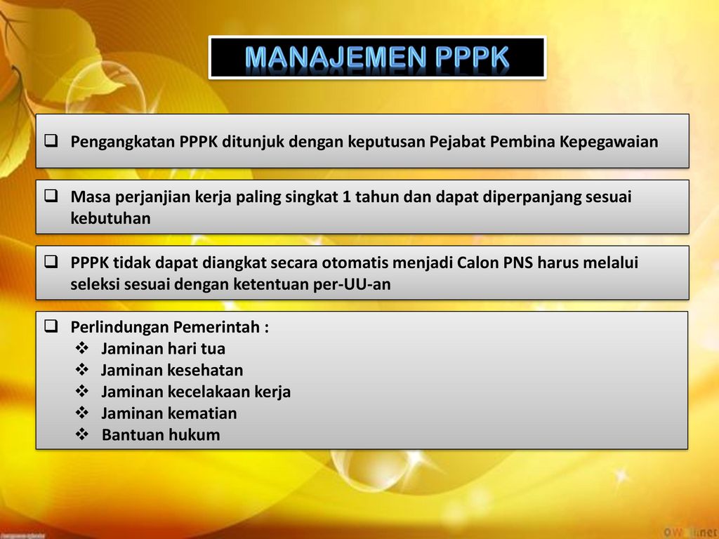 MANAJEMEN PPPK Pengangkatan PPPK ditunjuk dengan keputusan Pejabat Pembina Kepegawaian.