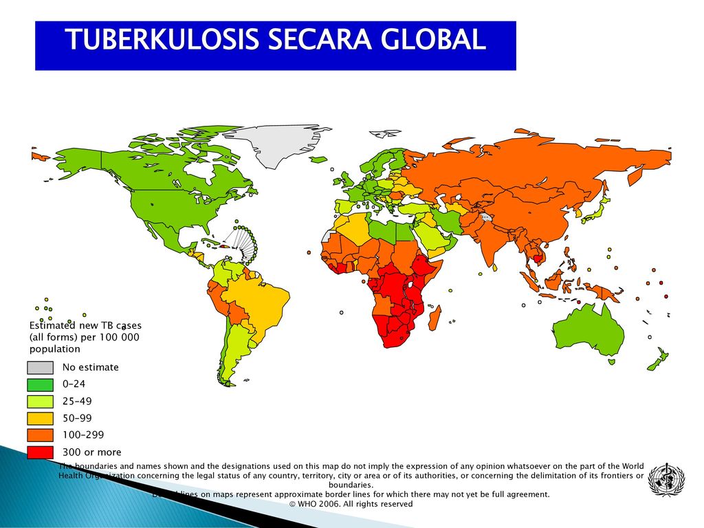 TUBERKULOSIS SECARA GLOBAL