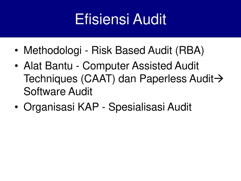 Efisiensi Audit Methodologi - Risk Based Audit (RBA)