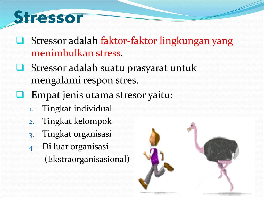 Stressor Stressor adalah faktor-faktor lingkungan yang menimbulkan stress. Stressor adalah suatu prasyarat untuk mengalami respon stres.