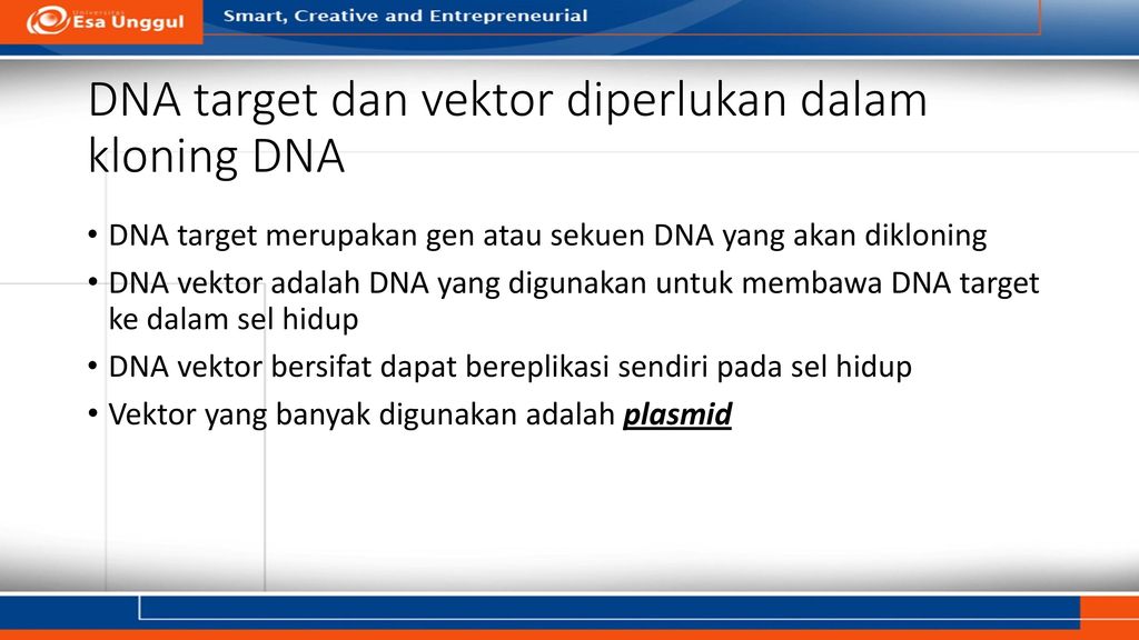 DNA target dan vektor diperlukan dalam kloning DNA