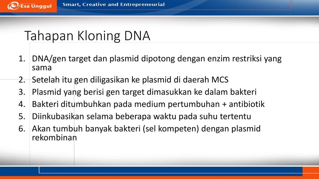 Tahapan Kloning DNA DNA/gen target dan plasmid dipotong dengan enzim restriksi yang sama. Setelah itu gen diligasikan ke plasmid di daerah MCS.