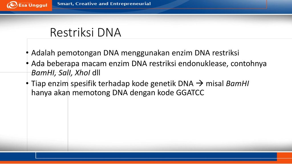 Restriksi DNA Adalah pemotongan DNA menggunakan enzim DNA restriksi