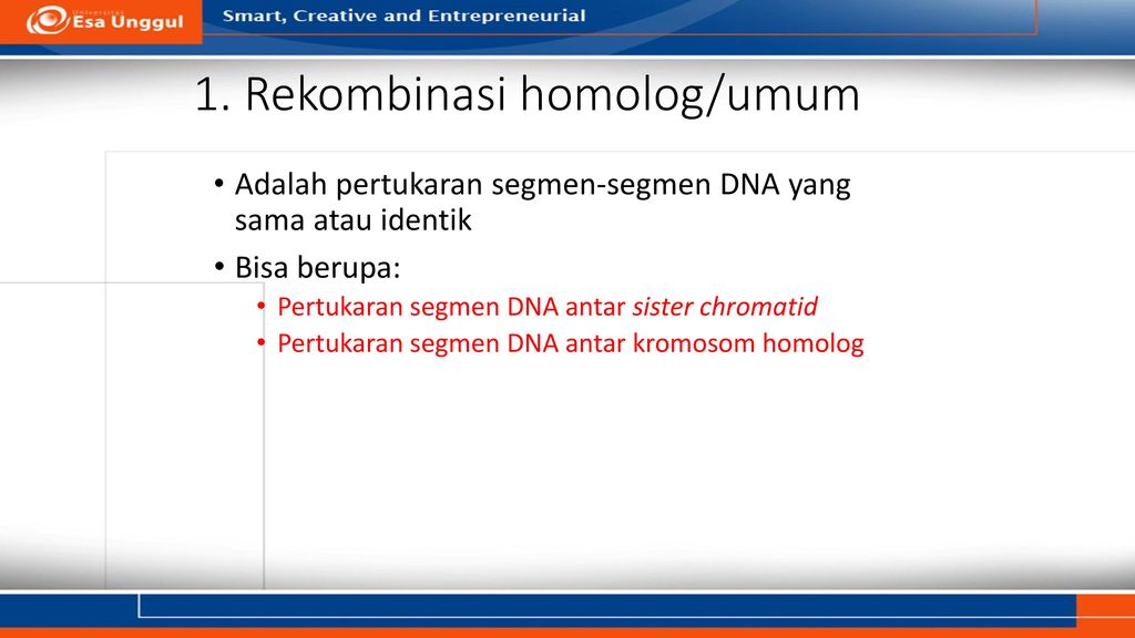 1. Rekombinasi homolog/umum