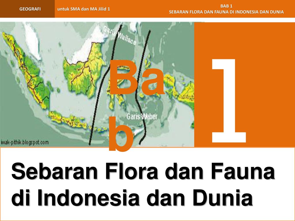 1 Bab Sebaran Flora dan Fauna di Indonesia dan Dunia
