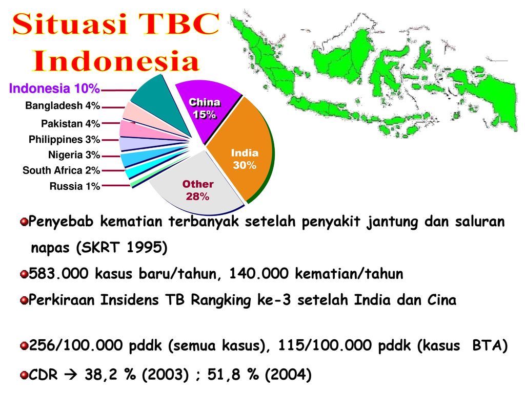 Situasi TBC Indonesia. Indonesia 10% Bangladesh 4% China. 15% India. 30% Other. 28% Philippines 3%