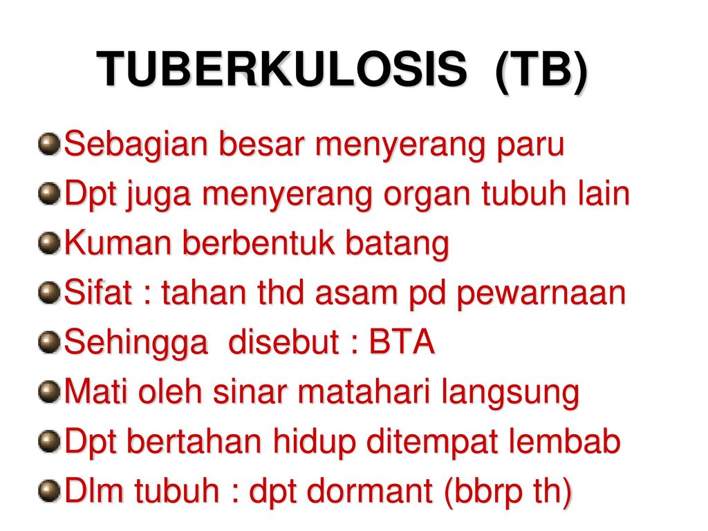 TUBERKULOSIS (TB) Sebagian besar menyerang paru
