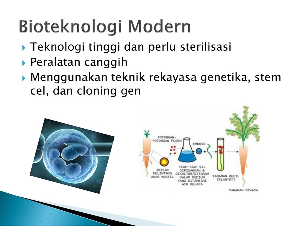 Bioteknologi Modern Teknologi tinggi dan perlu sterilisasi