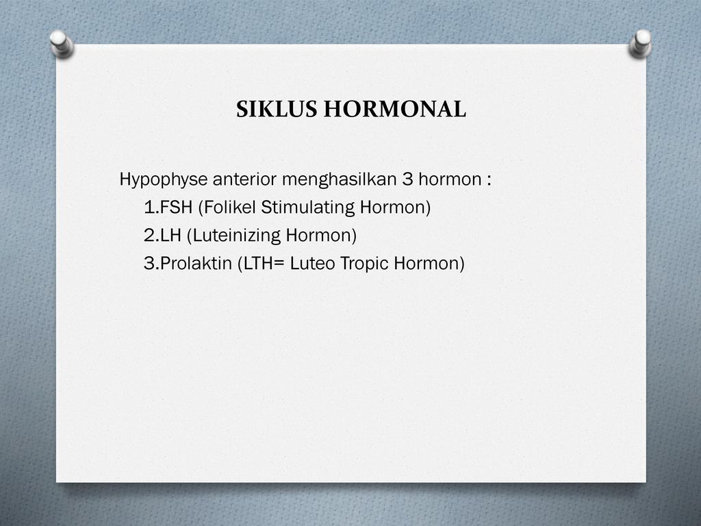 SIKLUS HORMONAL Hypophyse anterior menghasilkan 3 hormon :