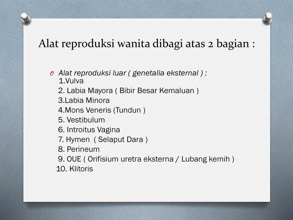 Alat reproduksi wanita dibagi atas 2 bagian :