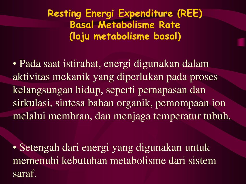 Resting Energi Expenditure (REE) Basal Metabolisme Rate (laju metabolisme basal)