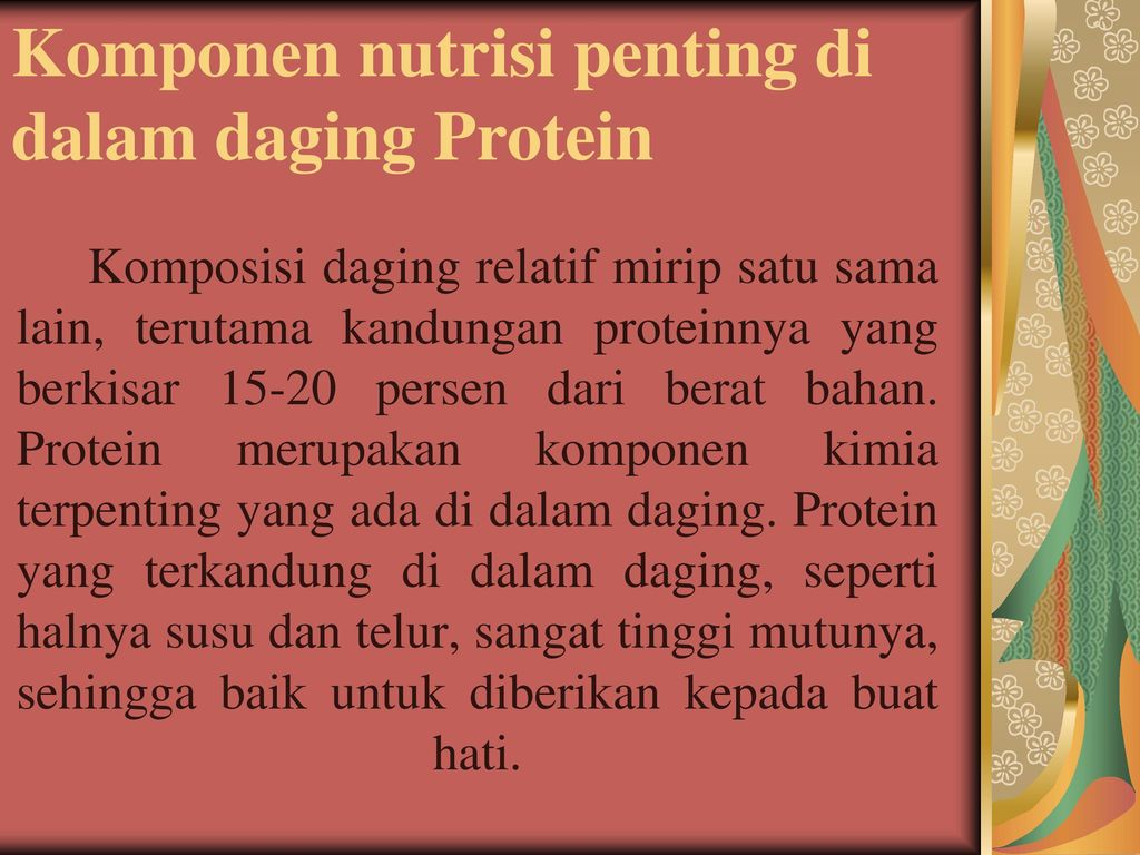 Komponen nutrisi penting di dalam daging Protein