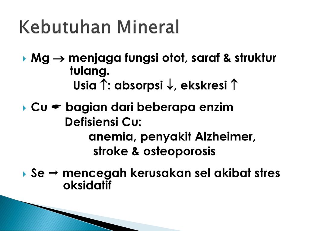 Kebutuhan Mineral Mg  menjaga fungsi otot, saraf & struktur tulang.