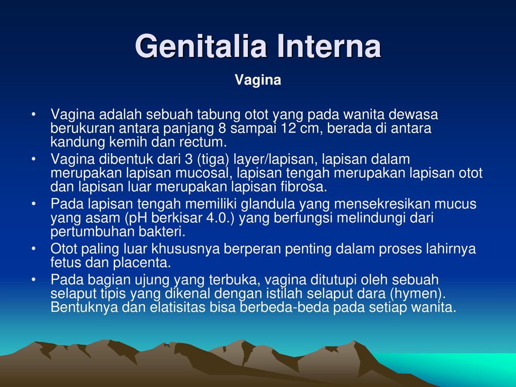 Genitalia Interna Vagina
