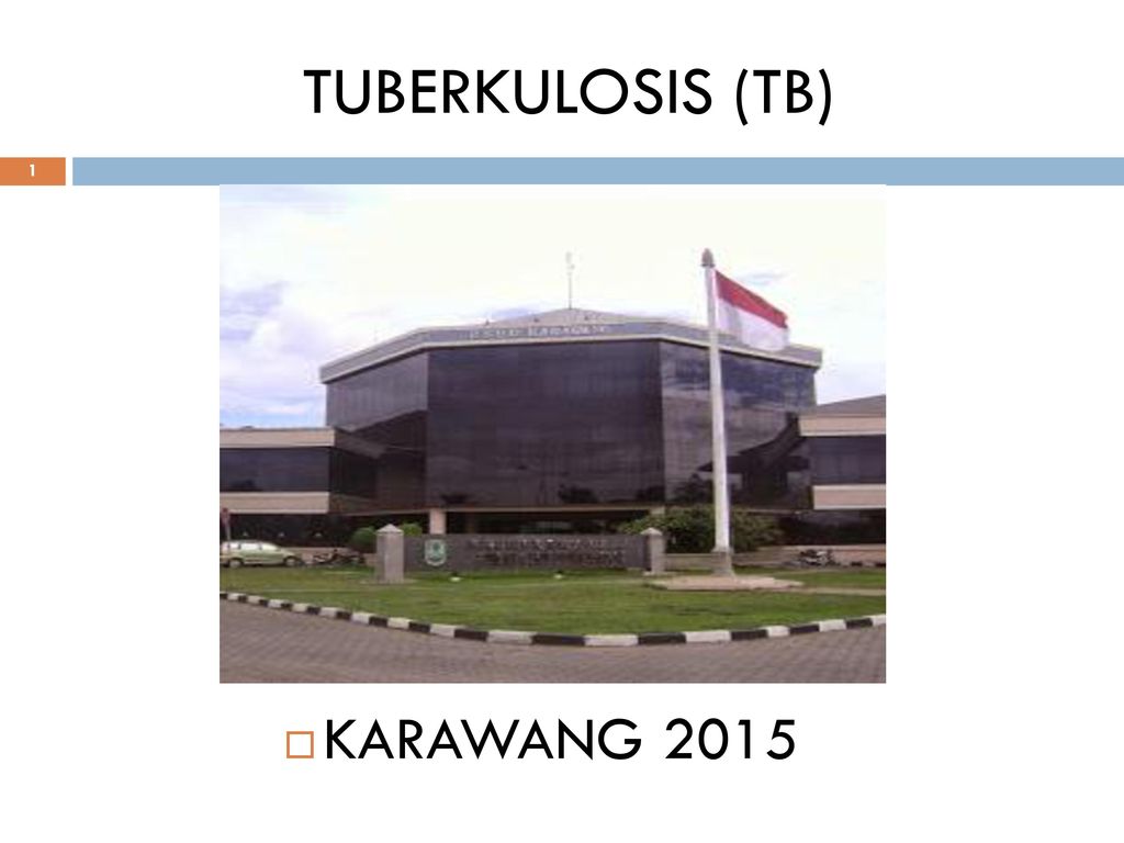 TUBERKULOSIS (TB) KARAWANG 2015