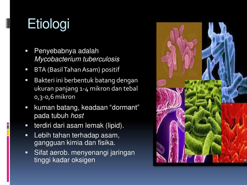 Etiologi Penyebabnya adalah Mycobacterium tuberculosis