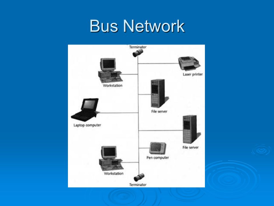 Bus Network