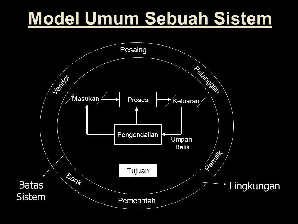 Model Umum Sebuah Sistem