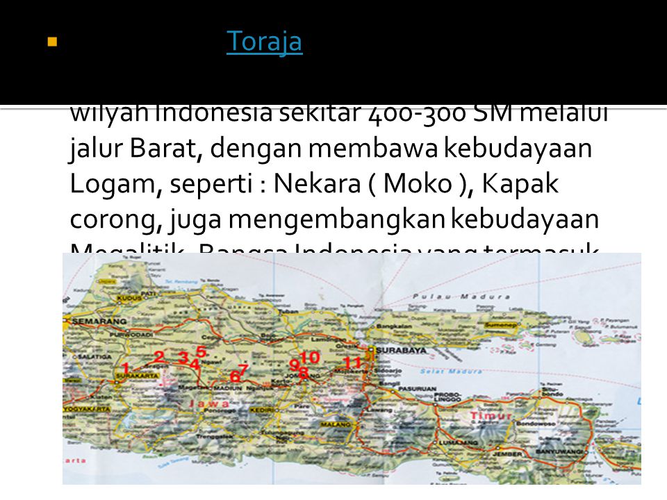 Suku Dayak, Toraja, Batak, Papua dsb. b