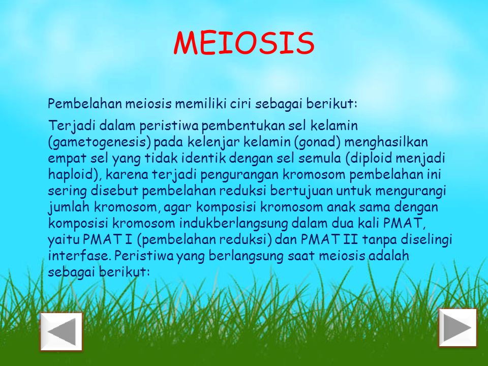 MEIOSIS Pembelahan meiosis memiliki ciri sebagai berikut: