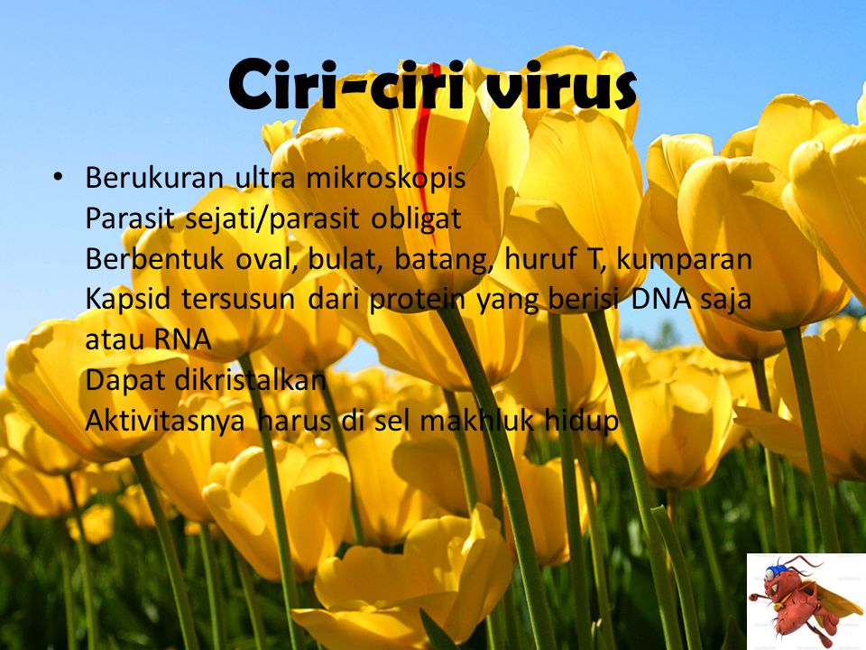 Ciri-ciri virus