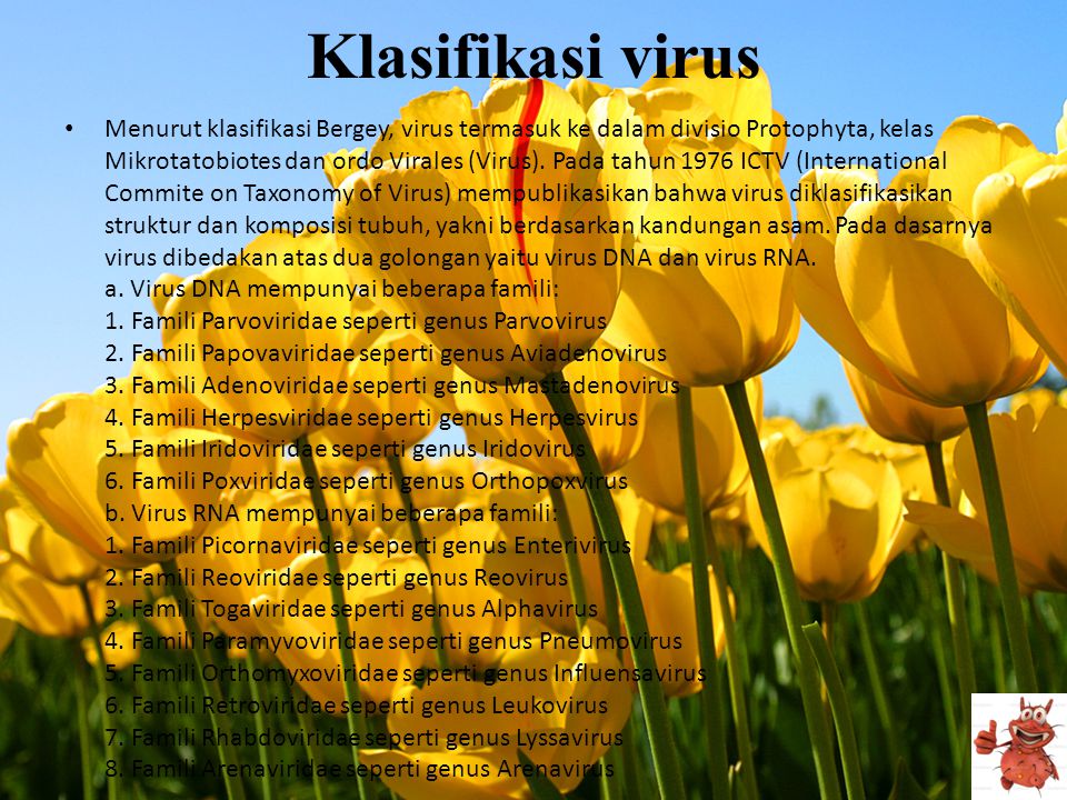 Klasifikasi virus
