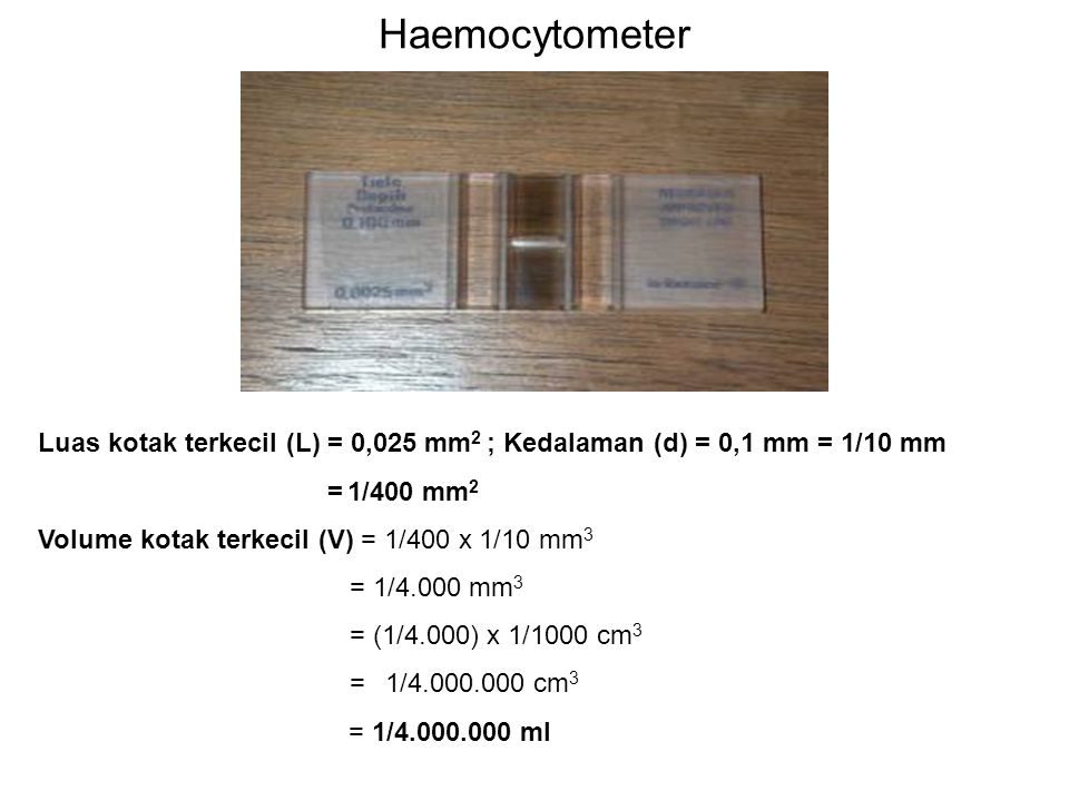 Haemocytometer Luas kotak terkecil (L) = 0,025 mm2 ; Kedalaman (d) = 0,1 mm = 1/10 mm. = 1/400 mm2.