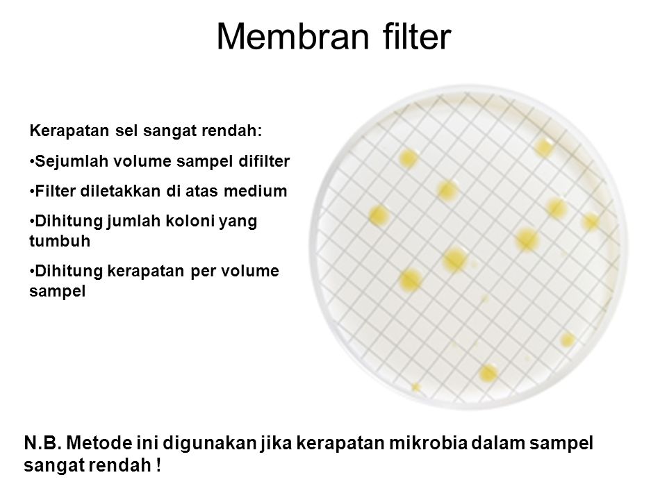 Membran filter Kerapatan sel sangat rendah: Sejumlah volume sampel difilter. Filter diletakkan di atas medium.