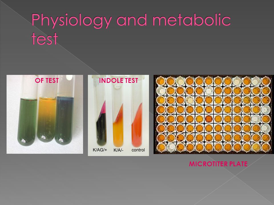 Physiology and metabolic test