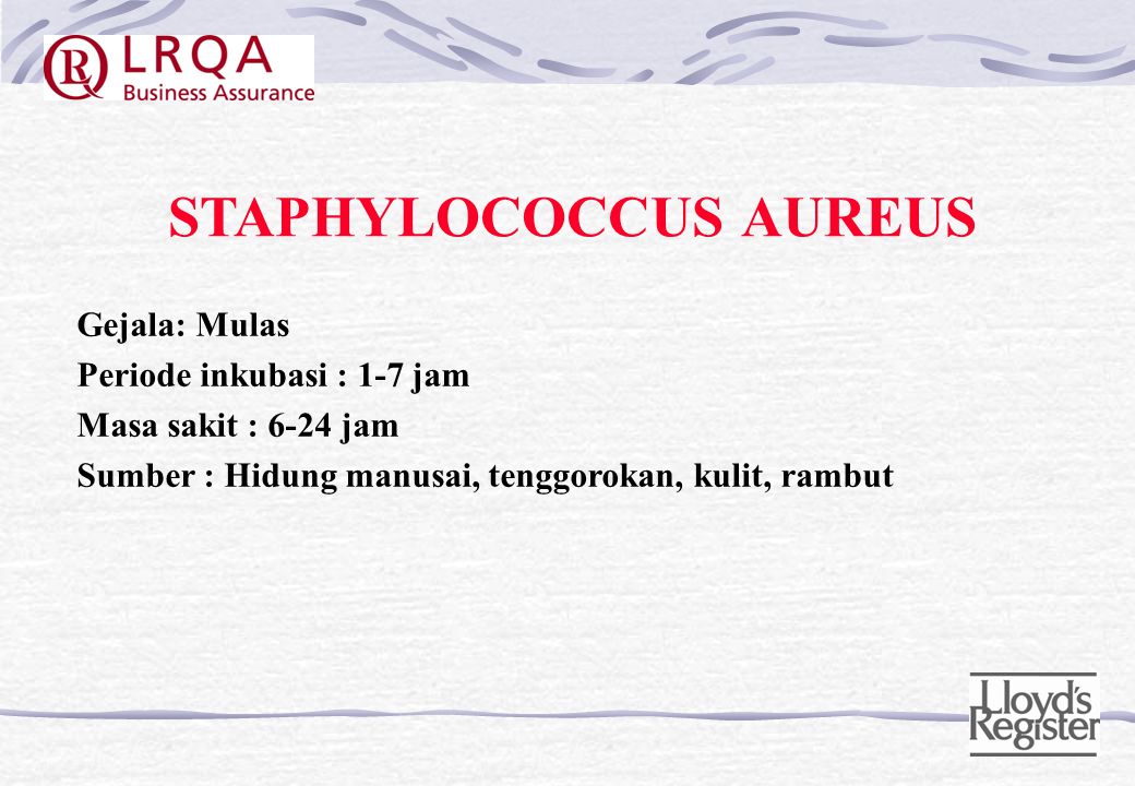 STAPHYLOCOCCUS AUREUS