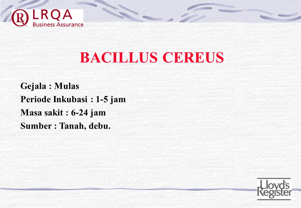 BACILLUS CEREUS Gejala : Mulas Periode Inkubasi : 1-5 jam