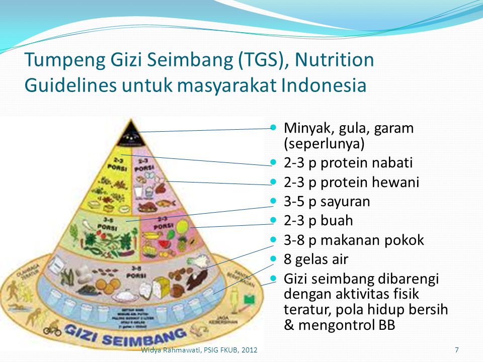 Tumpeng Gizi Seimbang (TGS), Nutrition Guidelines untuk masyarakat Indonesia