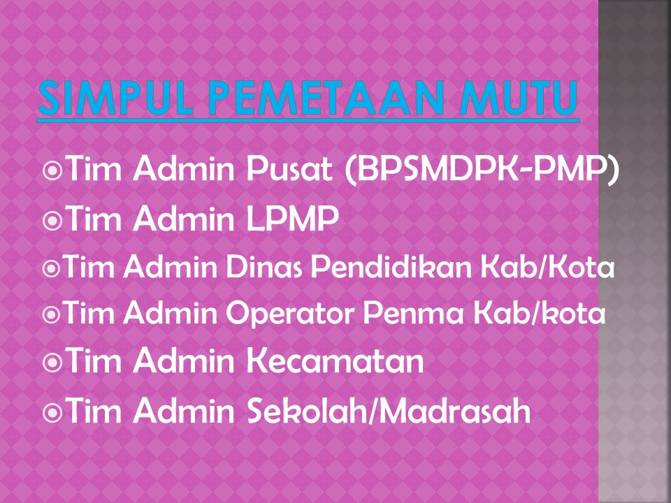 Simpul Pemetaan Mutu Tim Admin Pusat (BPSMDPK-PMP) Tim Admin LPMP