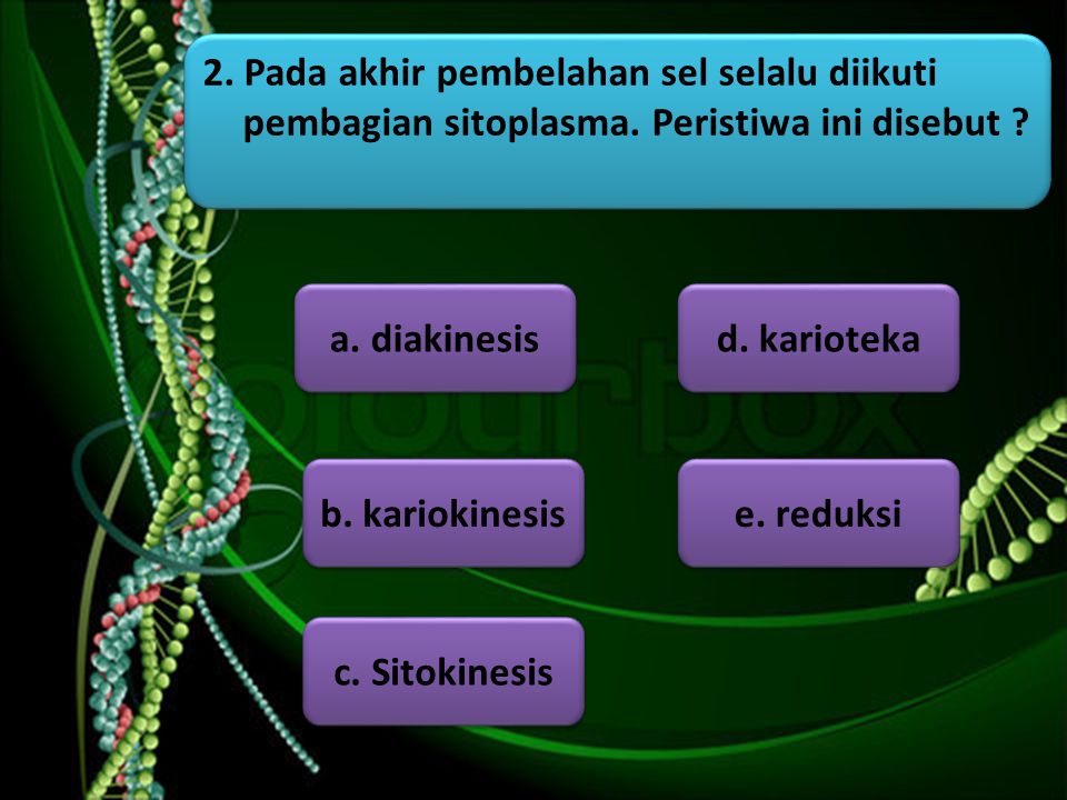 2. Pada akhir pembelahan sel selalu diikuti pembagian sitoplasma