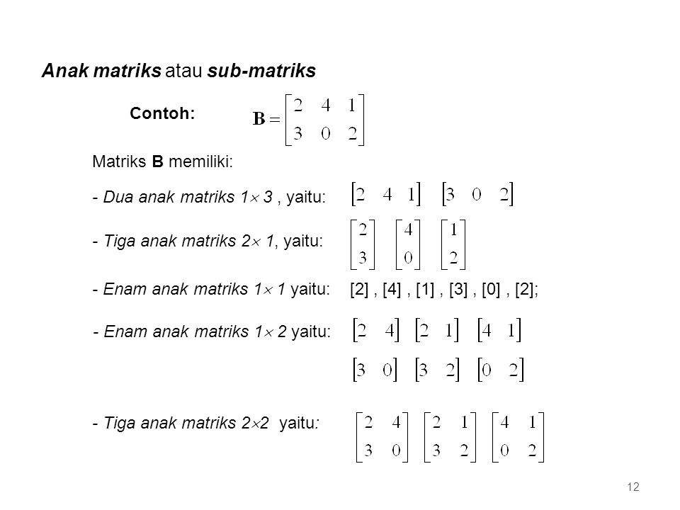 Anak matriks atau sub-matriks